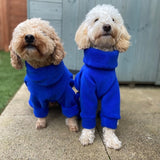 Blue Fleece