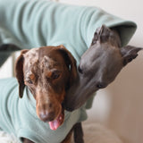 Mint Fleece