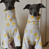 Sunshine Cotton Jersey