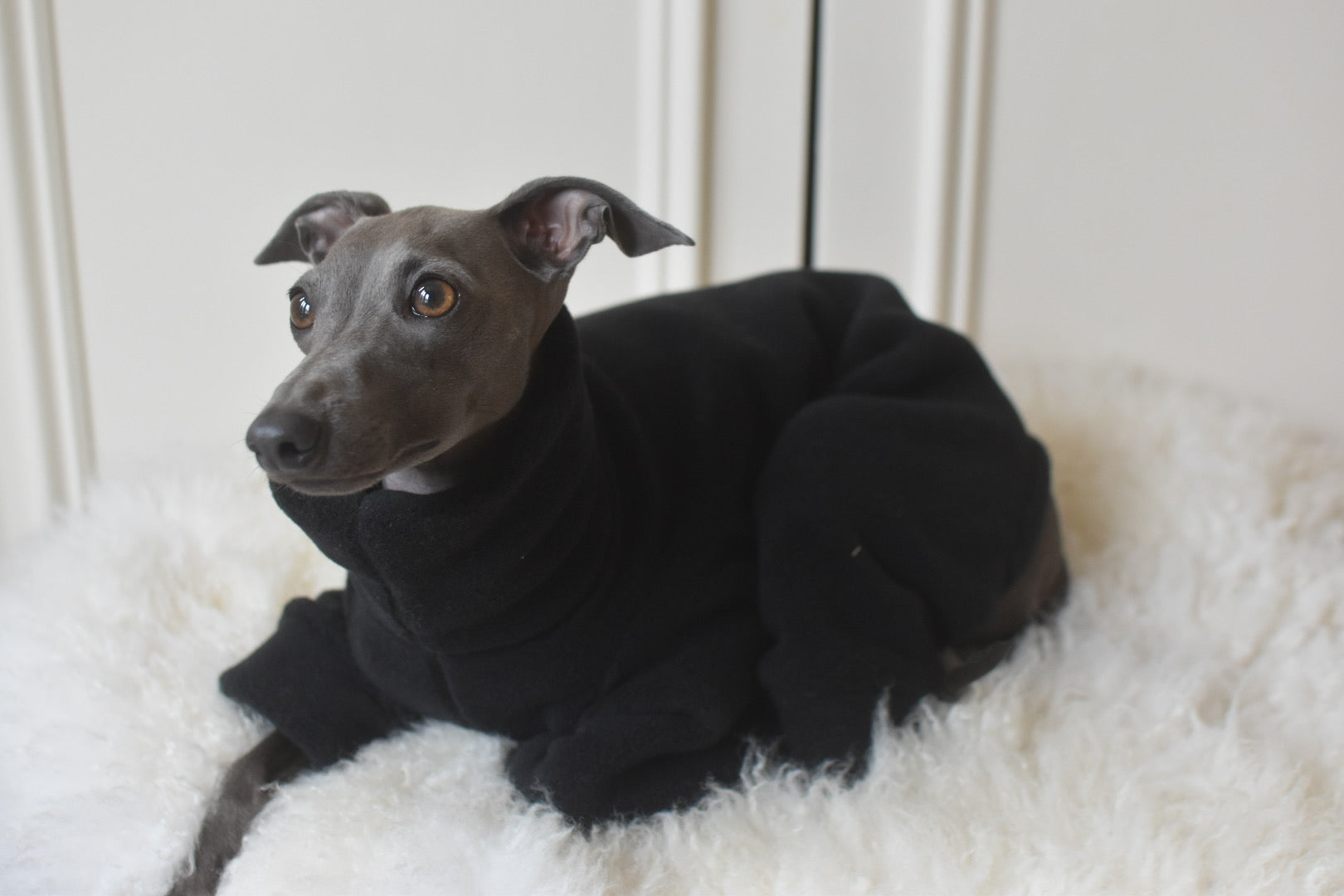 Black Fleece