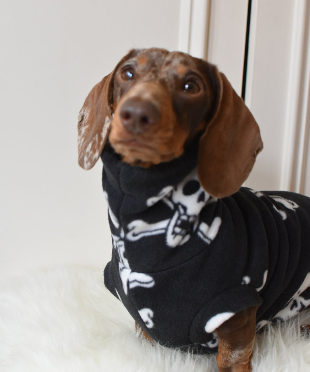 Halloween Fleece