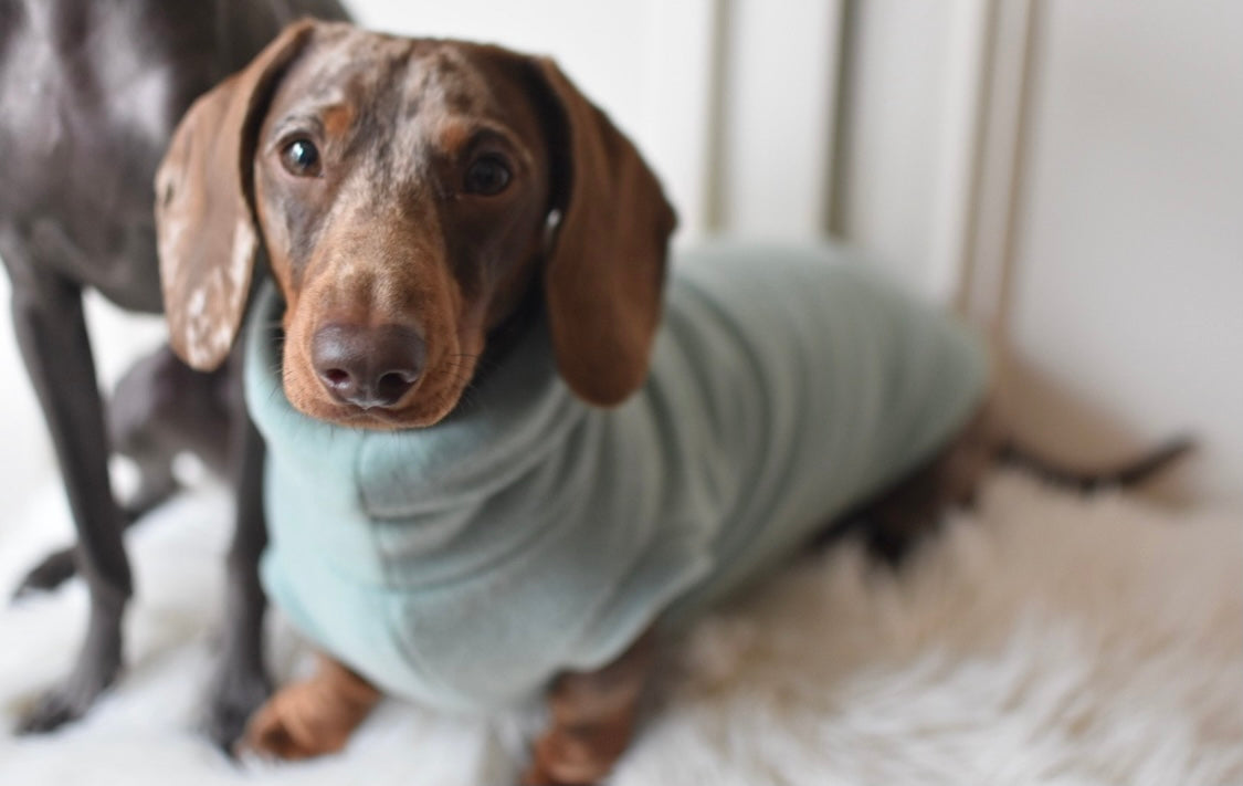 Mint Fleece
