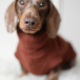 Limited Boiled Wool Jumper