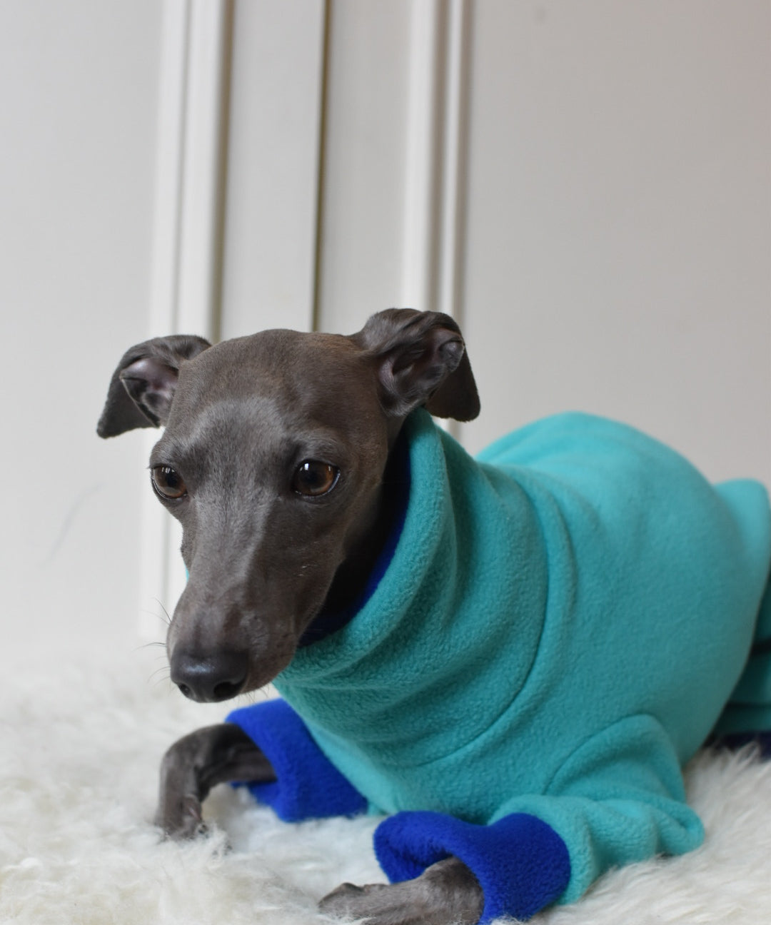 Two Tone Fleece