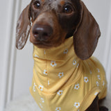 Daisy Jersey