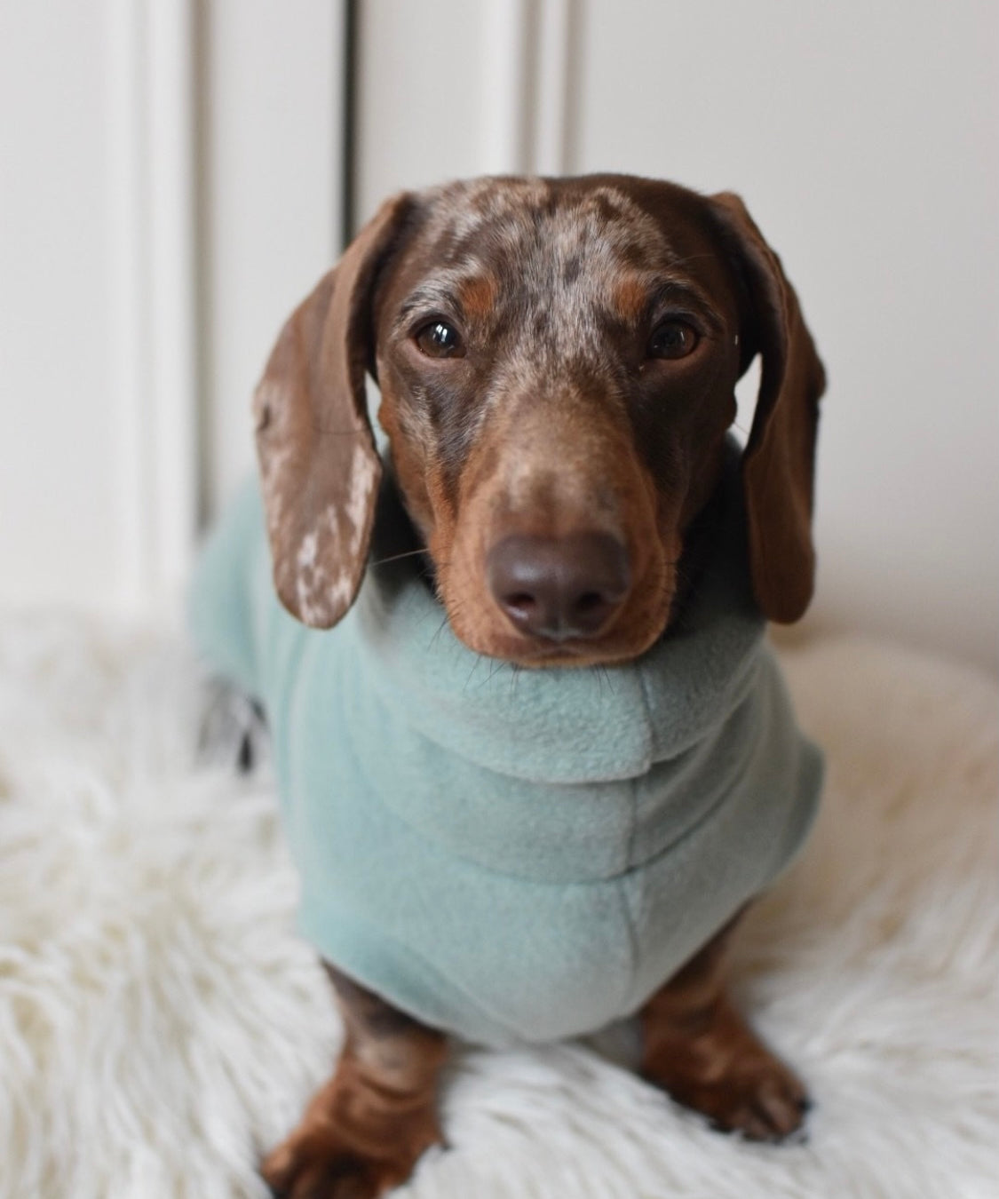 Mint Fleece