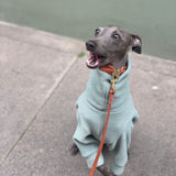 Mint Fleece