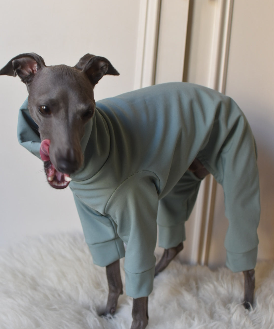 Waterproof Full Fleece Suit