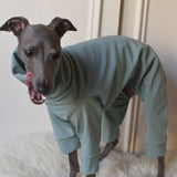 Waterproof Full Fleece Suit