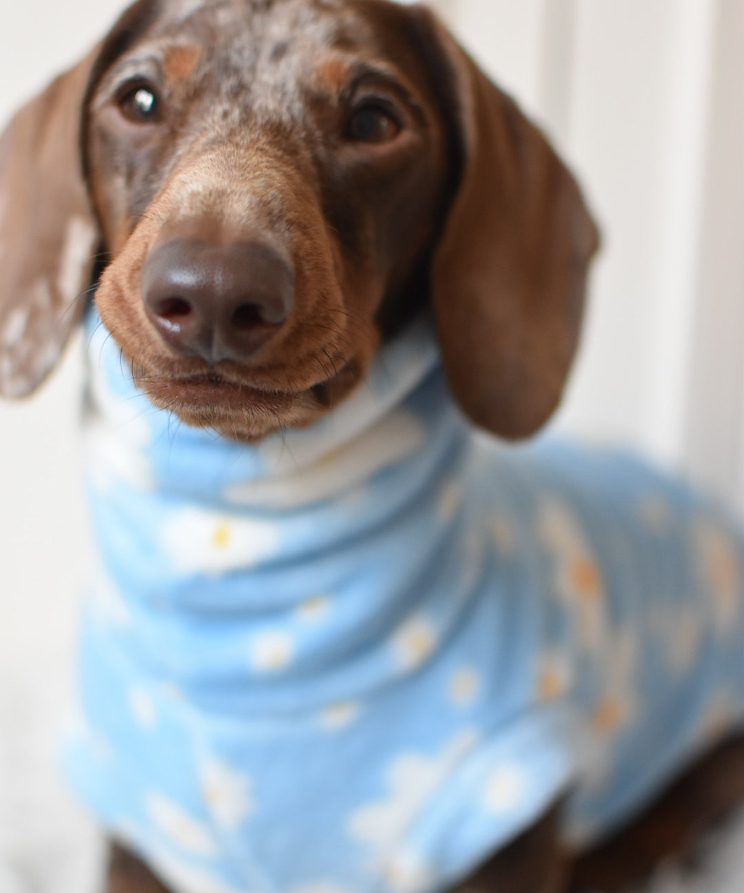 Daisy Super Soft Fleece