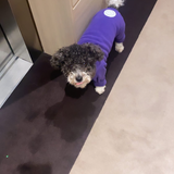 Purple Fleece