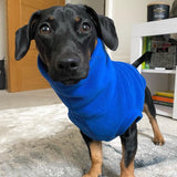 Blue Fleece