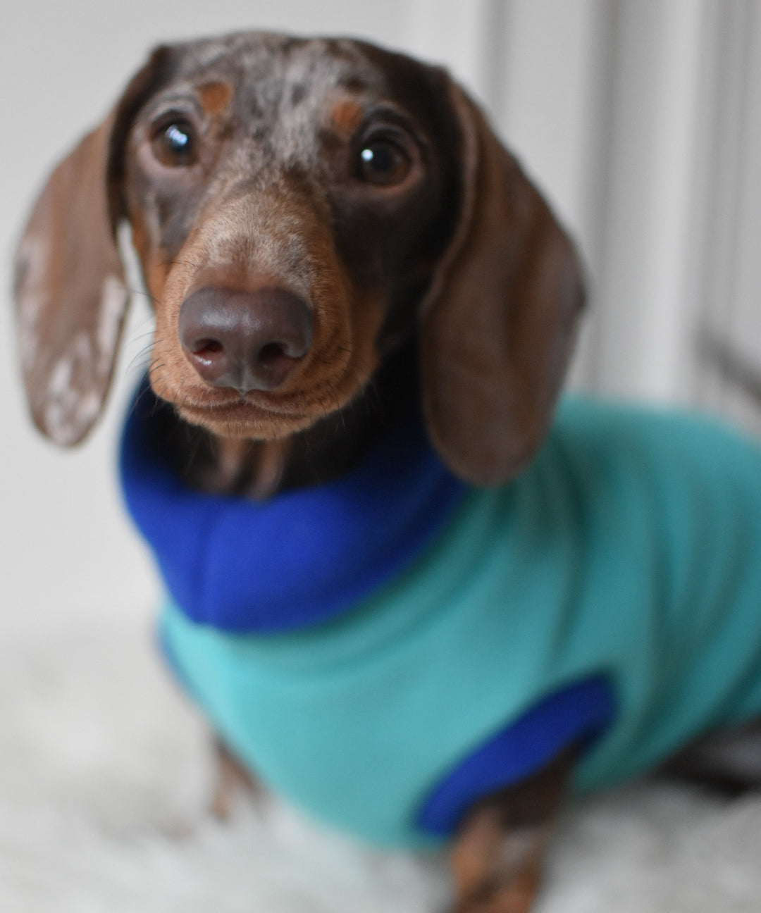 Two Tone Fleece