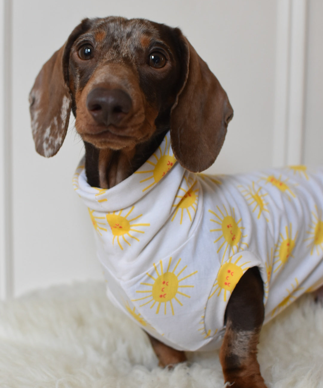 Sunshine Cotton Jersey