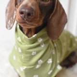 Daisy Jersey