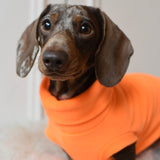 Fluro Fleece