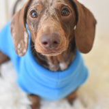 Aqua Fleece