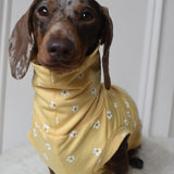 Daisy Jersey
