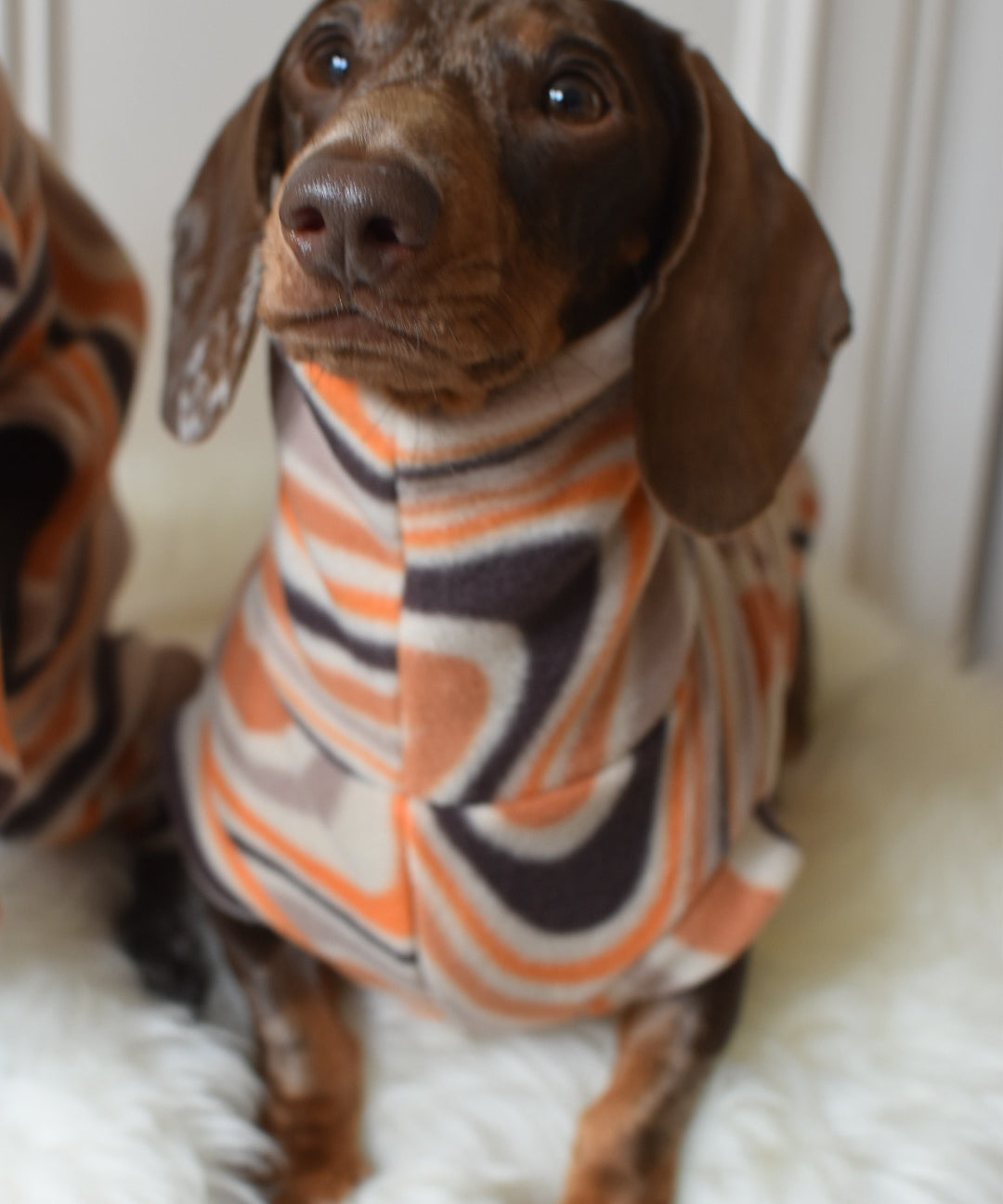 Halloween Fleece
