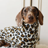 Snow Leopard Fleece