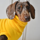 Yellow Fleece