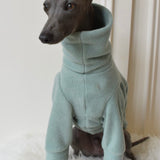 Mint Fleece