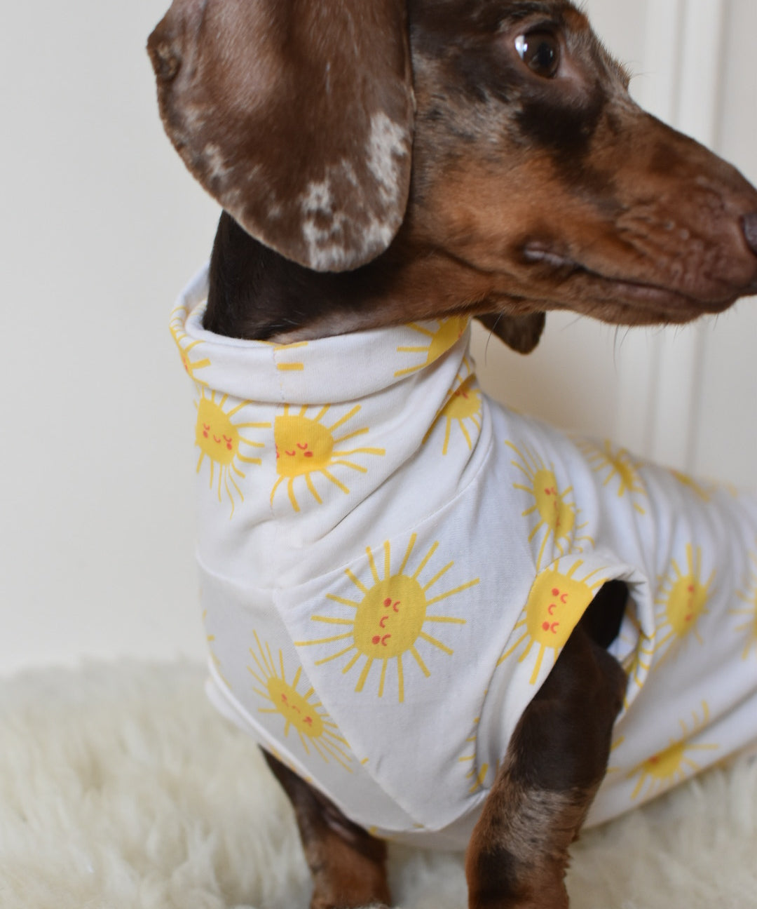 Sunshine Cotton Jersey