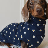Daisy Jersey