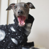 Moon Phases Fleece