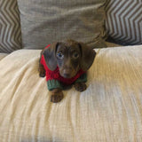 Knitted Jumper