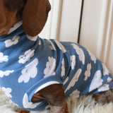Cloud Cotton Jersey