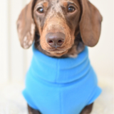 Aqua Fleece