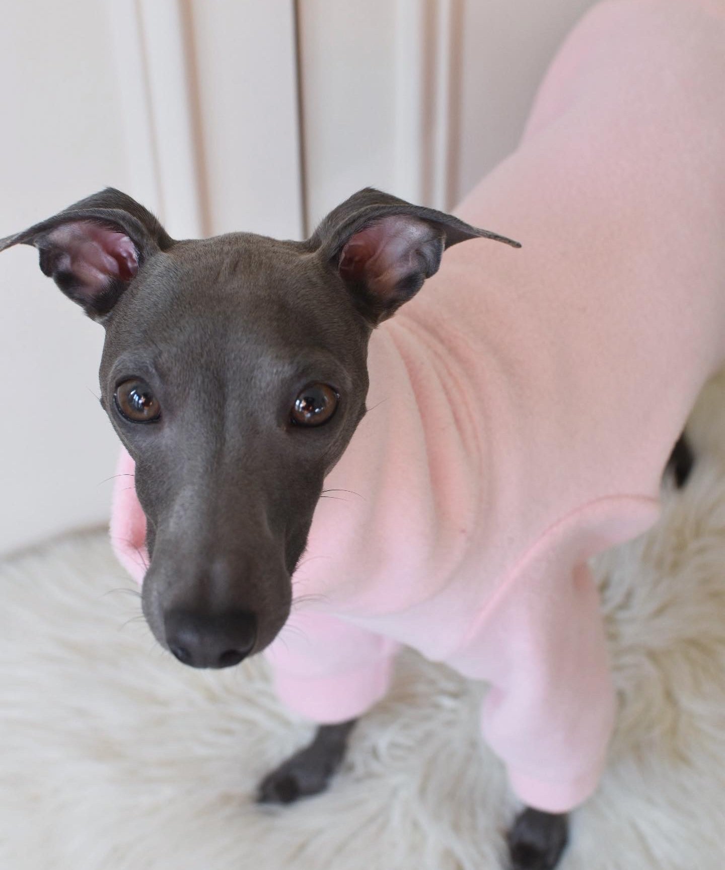 Baby Pink Fleece